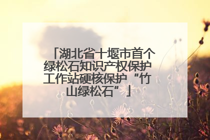 湖北省十堰市首个绿松石知识产权保护工作站硬核保护“竹山绿松石”