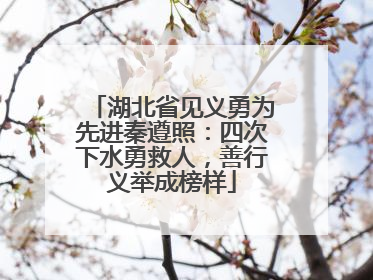 湖北省见义勇为先进秦遵照：四次下水勇救人，善行义举成榜样