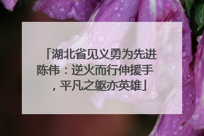 湖北省见义勇为先进陈伟：逆火而行伸援手，平凡之躯亦英雄