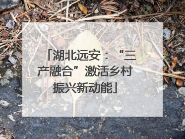 湖北远安：“三产融合”激活乡村振兴新动能