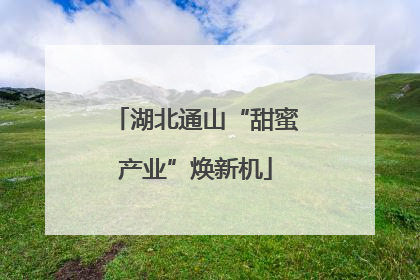 湖北通山“甜蜜产业”焕新机