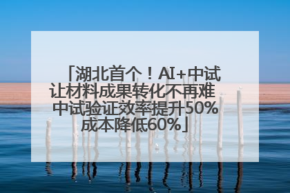 湖北首个！AI+中试让材料成果转化不再难 中试验证效率提升50%成本降低60%