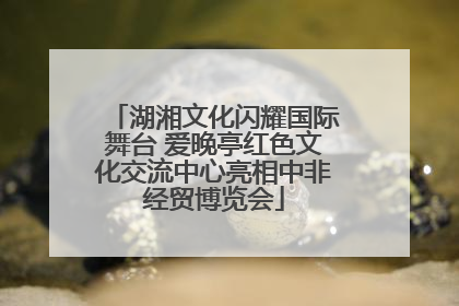 湖湘文化闪耀国际舞台 爱晚亭红色文化交流中心亮相中非经贸博览会