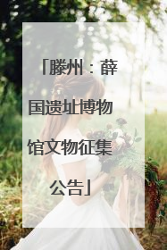 滕州：薛国遗址博物馆文物征集公告