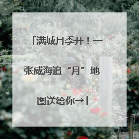 满城月季开！一张威海追“月”地图送给你→