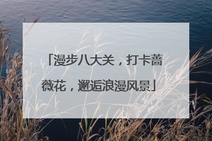漫步八大关，打卡蔷薇花，邂逅浪漫风景