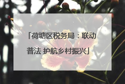 荷塘区税务局：联动普法 护航乡村振兴
