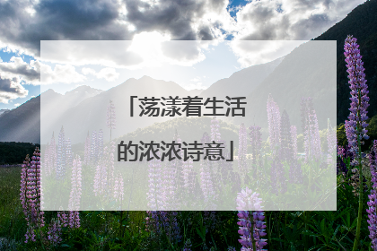 荡漾着生活的浓浓诗意