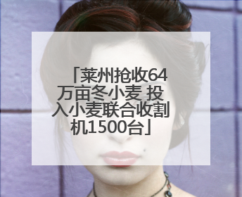 莱州抢收64万亩冬小麦 投入小麦联合收割机1500台