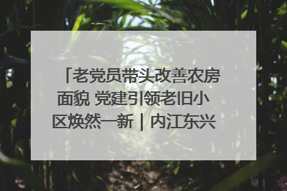 老党员带头改善农房面貌 党建引领老旧小区焕然一新｜内江东兴“红”在哪？④