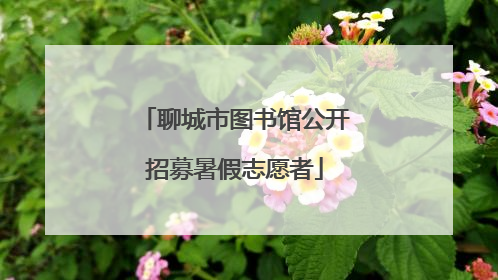 聊城市图书馆公开招募暑假志愿者