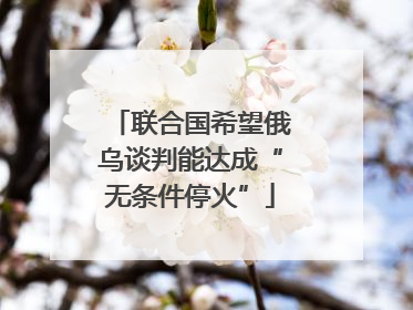 联合国希望俄乌谈判能达成“无条件停火”