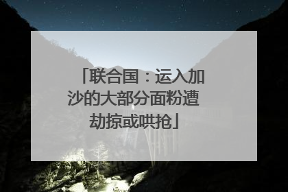 联合国：运入加沙的大部分面粉遭劫掠或哄抢