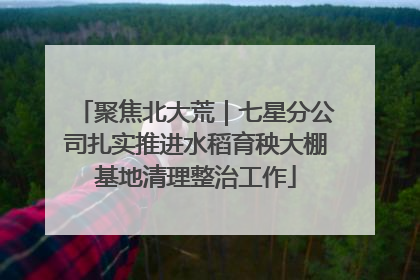聚焦北大荒｜七星分公司扎实推进水稻育秧大棚基地清理整治工作