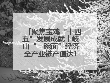 聚焦宝鸡“十四五”发展成就丨岐山“一碗面”经济全产业链产值达162亿元 入选全国典型县