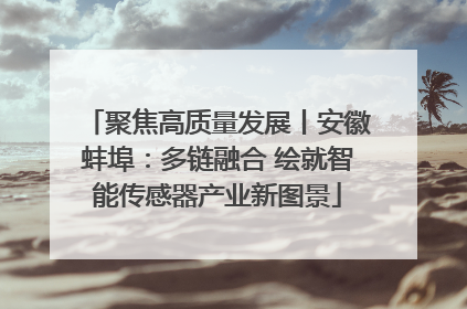 聚焦高质量发展丨安徽蚌埠：多链融合 绘就智能传感器产业新图景