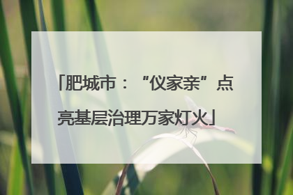 肥城市：“仪家亲”点亮基层治理万家灯火