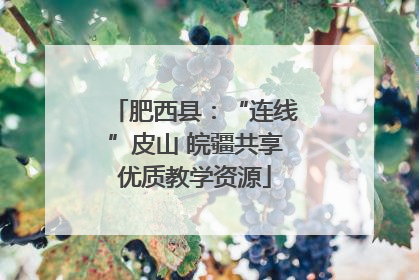 肥西县：“连线”皮山 皖疆共享优质教学资源
