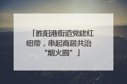 胜阳港街道党建红纽带，串起商居共治 “烟火圈”