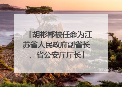 胡彬郴被任命为江苏省人民政府副省长、省公安厅厅长