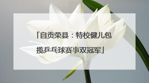 自贡荣县：特校健儿包揽乒乓球赛事双冠军