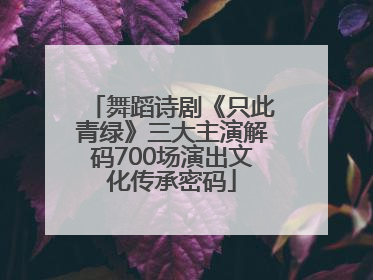 舞蹈诗剧《只此青绿》三大主演解码700场演出文化传承密码
