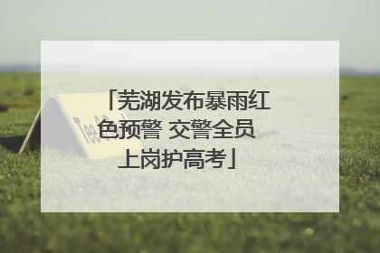 芜湖发布暴雨红色预警 交警全员上岗护高考