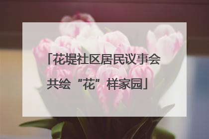 花堤社区居民议事会共绘“花”样家园