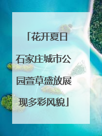 花开夏日 石家庄城市公园萱草盛放展现多彩风貌