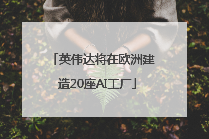 英伟达将在欧洲建造20座AI工厂