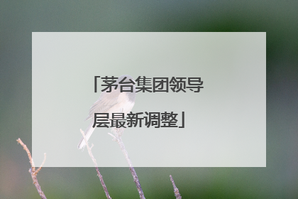 茅台集团领导层最新调整