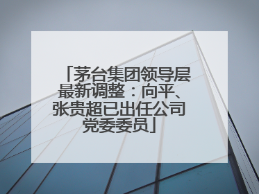 茅台集团领导层最新调整：向平、张贵超已出任公司党委委员