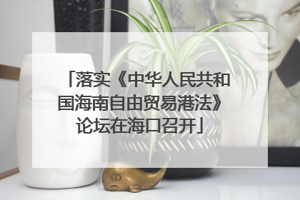 落实《中华人民共和国海南自由贸易港法》论坛在海口召开