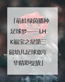 萌娃绿茵播种足球梦——LHK福宝之星第三届幼儿足球嘉年华精彩绽放