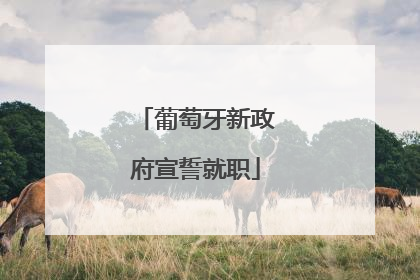 葡萄牙新政府宣誓就职