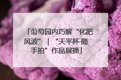 葡萄园内巧解“化肥风波”｜“天平杯·随手拍”作品展播