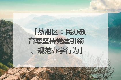 蒸湘区：民办教育要坚持党建引领、规范办学行为