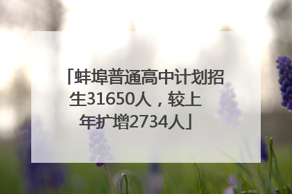 蚌埠普通高中计划招生31650人，较上年扩增2734人