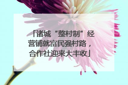 诸城“整村制”经营铺就富民强村路，合作社迎来大丰收