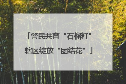 警民共育“石榴籽” 辖区绽放“团结花”