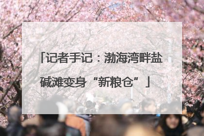 记者手记：渤海湾畔盐碱滩变身“新粮仓”