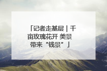 记者走基层｜千亩玫瑰花开 美景带来“钱景”