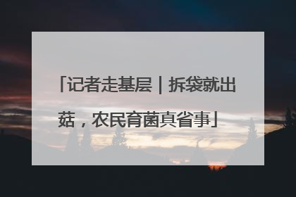 记者走基层｜拆袋就出菇，农民育菌真省事