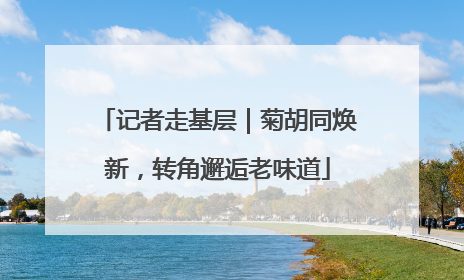 记者走基层｜菊胡同焕新，转角邂逅老味道