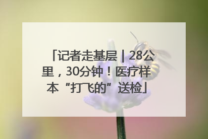 记者走基层｜28公里，30分钟！医疗样本“打飞的”送检