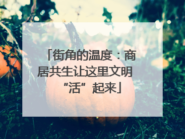 街角的温度：商居共生让这里文明“活”起来