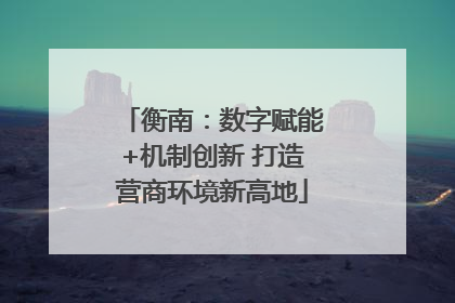 衡南：数字赋能+机制创新 打造营商环境新高地