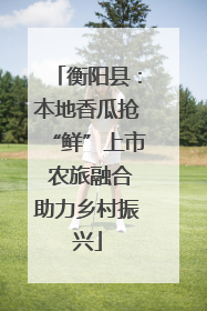 衡阳县：本地香瓜抢“鲜”上市 农旅融合助力乡村振兴