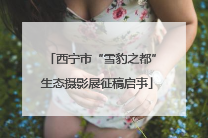 西宁市“雪豹之都”生态摄影展征稿启事