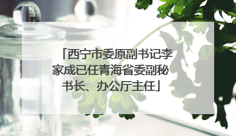 西宁市委原副书记李家成已任青海省委副秘书长、办公厅主任